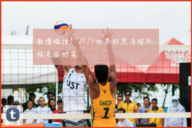 激情碰撞！2026世界杯黑马球队，谁是你的菜