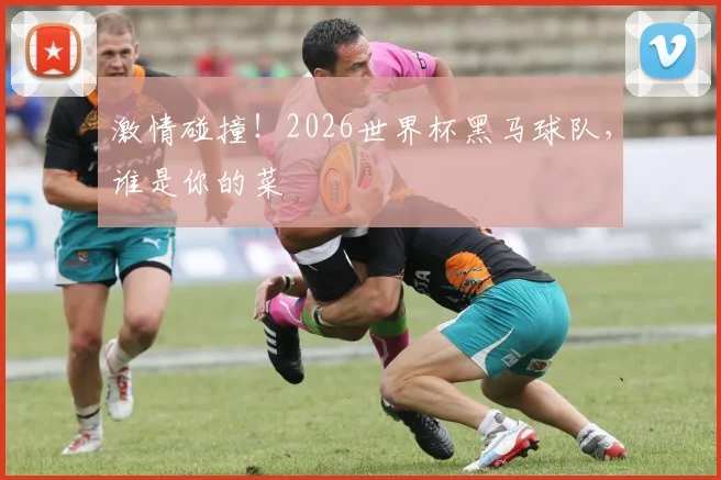 激情碰撞！2026世界杯黑马球队，谁是你的菜